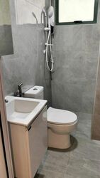 Palm Gardens (D23), Condominium #519069851